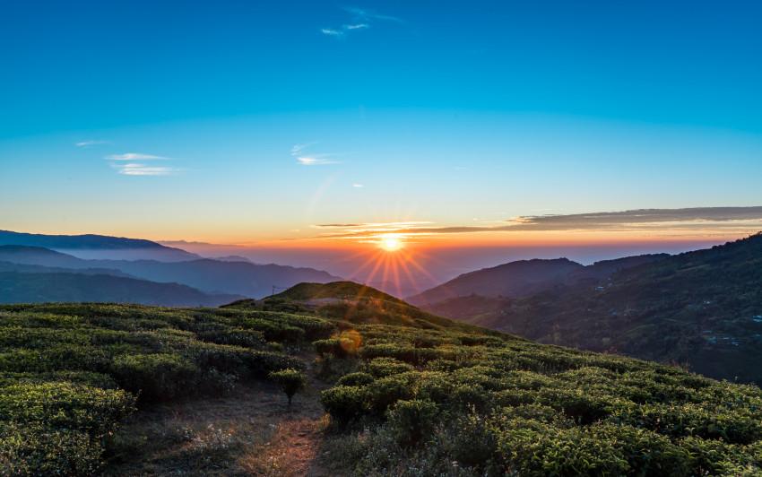 ilam Sunrise & Tea Trails